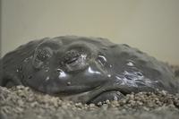  DSC0621