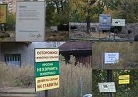 Zoo1