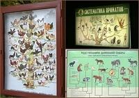 Zoo2