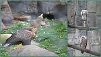 Zoo23