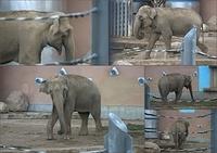 Zoo4