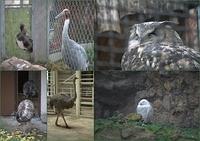 Zoo8