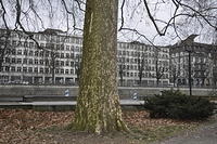  DSC1085