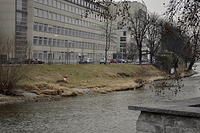  DSC1090