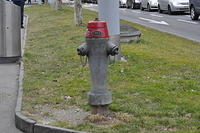  DSC1149
