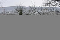  DSC1155