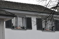  DSC1171