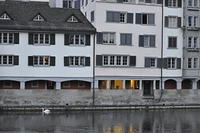  DSC1233
