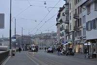  DSC1239