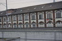  DSC1264