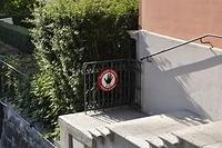  DSC5681