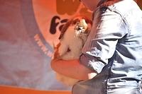  DSC8989