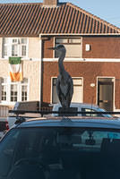 DSC 1934