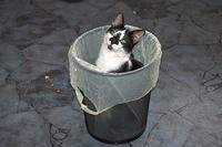  DSC0790