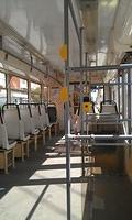 IMAG0238