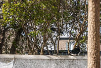 DSC 8911