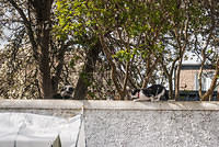 DSC 8919