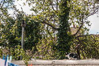 DSC 8925