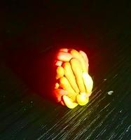 20200628 204932