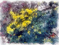 20240221 123711 DAP Aquarell