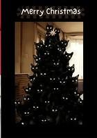 Screenshot 20251212 145227 Temu