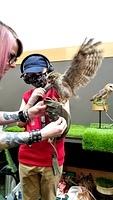 VideoCapture 20220806-141034