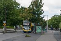 DSC 3806