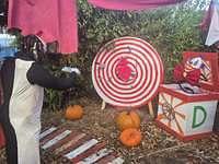 570363455 1123149843354324 1055504552651490526 n