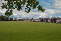 DSC 2961