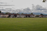 DSC 3007
