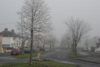 DSC 6110