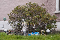 DSC 7162