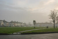 DSC 7227