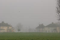 DSC 7239