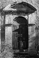 DSC 7654