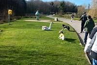 Brella&King Tymon park 03.22