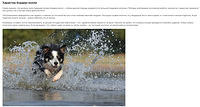 Fullscreen capture 20082021 194056.bmp