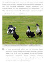 Fullscreen capture 20082021 195746.bmp