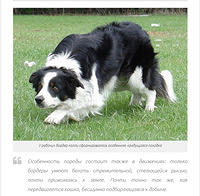 Fullscreen capture 20082021 195853.bmp