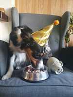 IMG-20220427-WA0000