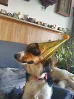 IMG-20220427-WA0005