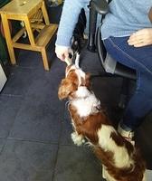 IMG-20220305-WA0014