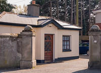 DSC 8465