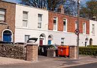 DSC 8517