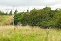 DSC 4064