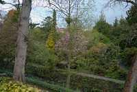DSC 1351