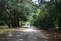 DSC 1465