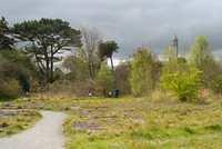 DSC 1509