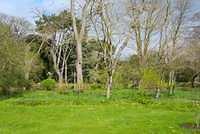 DSC 1514