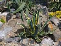 P1040483
